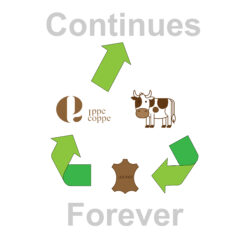 アップサイクルで未来につなごう！