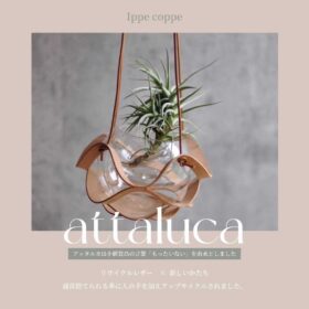 植物ハンガー【attaluca】アッタルカ　