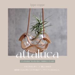 植物ハンガーの販売について | アッタルカ  |  エアプランツハンガー | SDGs | サステナブル