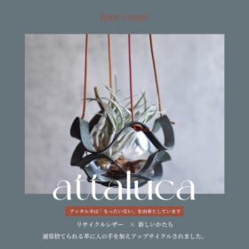 植物ハンガー【attaluca】アッタルカ　バイカラー