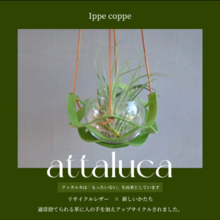 植物ハンガー【attaluca】アッタルカ　グリーン