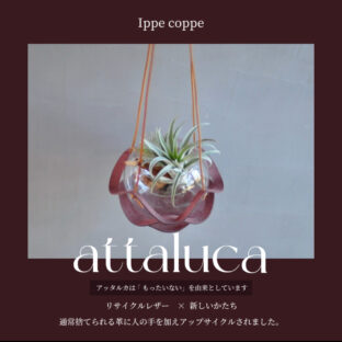 植物ハンガー【attaluca】アッタルカ　ワイン