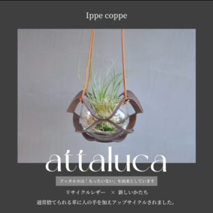 植物ハンガー【attaluca】アッタルカ　グレー