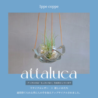 植物ハンガー【attaluca】アッタルカ　スカイブルー