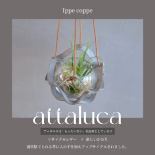 植物ハンガー【attaluca】アッタルカ　ライトグレー