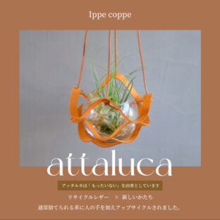 植物ハンガー【attaluca】アッタルカ　オレンジ