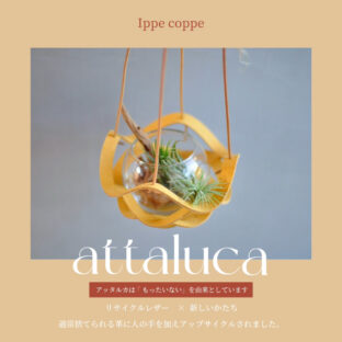 植物ハンガー【attaluca】アッタルカ　イエロー