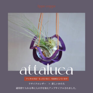 植物ハンガー【attaluca】アッタルカ　パープル